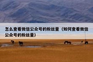 怎么查看微信公众号的粉丝量（如何查看微信公众号的粉丝量）