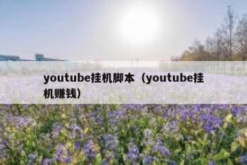 youtube挂机脚本（youtube挂机赚钱）