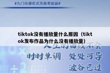 tiktok没有播放量什么原因（tiktok发布作品为什么没有播放量）