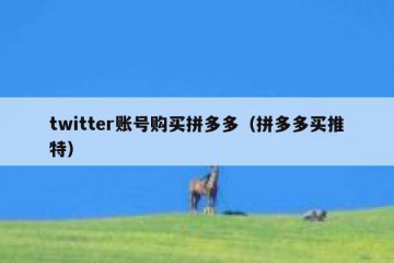 twitter账号购买拼多多（拼多多买推特）