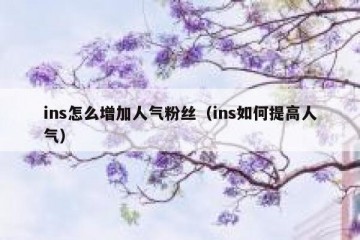 ins怎么增加人气粉丝（ins如何提高人气）