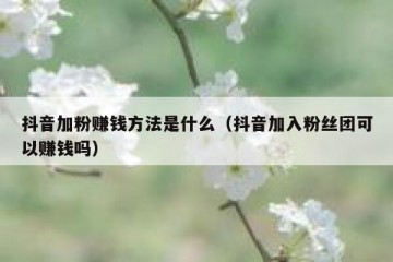 抖音加粉赚钱方法是什么（抖音加入粉丝团可以赚钱吗）