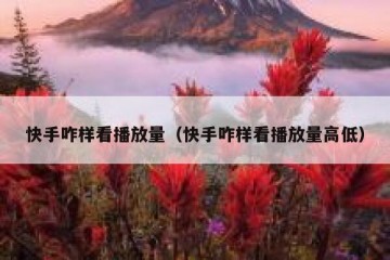 快手咋样看播放量（快手咋样看播放量高低）