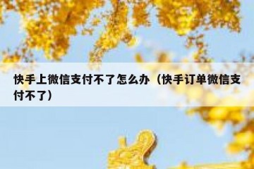 快手上微信支付不了怎么办（快手订单微信支付不了）