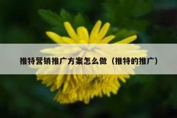 推特营销推广方案怎么做（推特的推广）