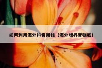 如何利用海外抖音赚钱（海外版抖音赚钱）