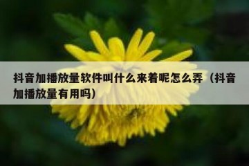 抖音加播放量软件叫什么来着呢怎么弄（抖音加播放量有用吗）