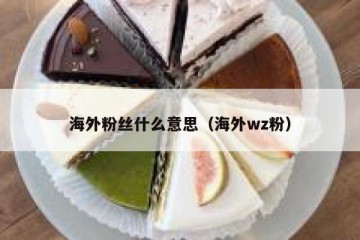 海外粉丝什么意思（海外wz粉）