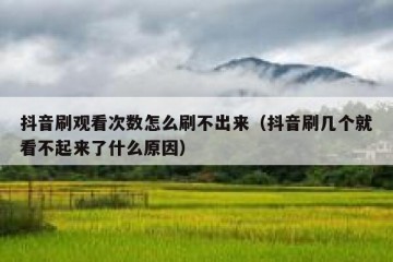 抖音刷观看次数怎么刷不出来（抖音刷几个就看不起来了什么原因）