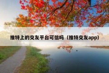 推特上的交友平台可信吗（推特交友app）