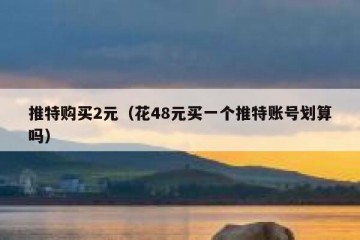 推特购买2元（花48元买一个推特账号划算吗）