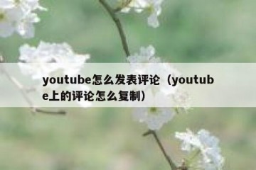 youtube怎么发表评论（youtube上的评论怎么复制）