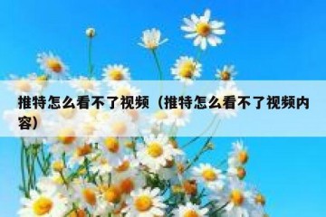 推特怎么看不了视频（推特怎么看不了视频内容）