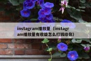 instagram播放量（instagram播放量有收益怎么打钱给你）