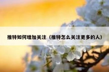 推特如何增加关注（推特怎么关注更多的人）