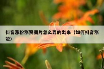 抖音涨粉涨赞图片怎么弄的出来（如何抖音涨赞）