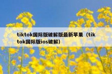 tiktok国际版破解版最新苹果（tiktok国际版ios破解）