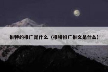 推特的推广是什么（推特推广推文是什么）
