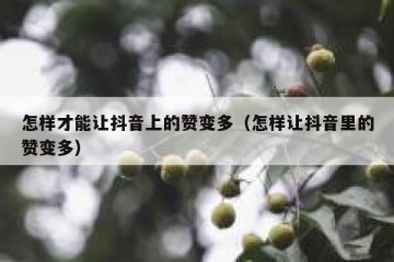 怎样才能让抖音上的赞变多（怎样让抖音里的赞变多）