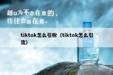 tiktok怎么引粉（tiktok怎么引流）