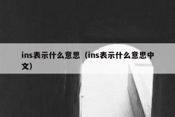 ins表示什么意思（ins表示什么意思中文）