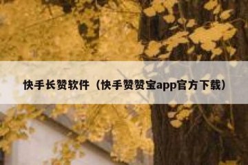 快手长赞软件（快手赞赞宝app官方下载）