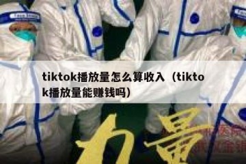 tiktok播放量怎么算收入（tiktok播放量能赚钱吗）