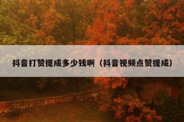 抖音打赞提成多少钱啊（抖音视频点赞提成）