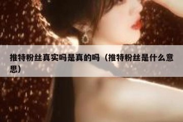 推特粉丝真实吗是真的吗（推特粉丝是什么意思）
