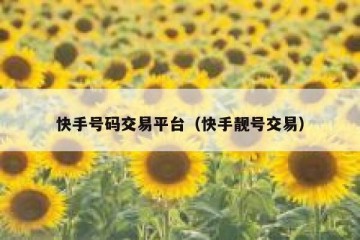 快手号码交易平台（快手靓号交易）