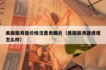 美国服务器价格流量表图片（美国服务器速度怎么样）