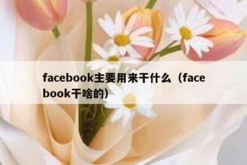 facebook主要用来干什么（facebook干啥的）