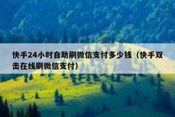快手24小时自助刷微信支付多少钱（快手双击在线刷微信支付）