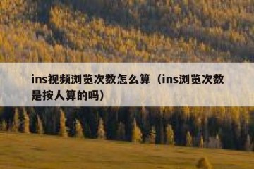 ins视频浏览次数怎么算（ins浏览次数是按人算的吗）