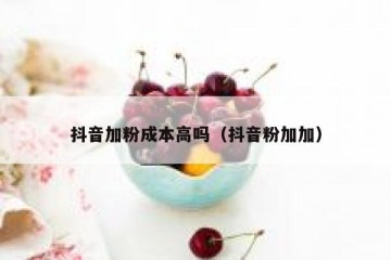 抖音加粉成本高吗（抖音粉加加）