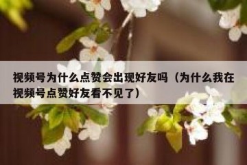 视频号为什么点赞会出现好友吗（为什么我在视频号点赞好友看不见了）