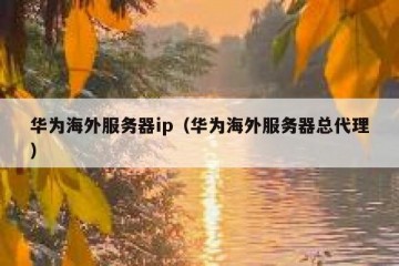 华为海外服务器ip（华为海外服务器总代理）