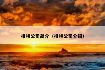 推特公司简介（推特公司介绍）
