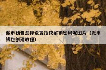 派币钱包怎样设置指纹解锁密码呢图片（派币钱包创建教程）