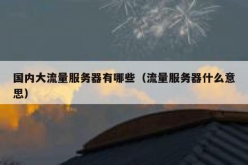 国内大流量服务器有哪些（流量服务器什么意思）