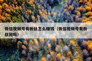 微信视频号有粉丝怎么赚钱（微信视频号有粉丝团吗）
