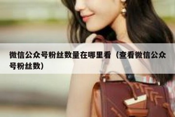 微信公众号粉丝数量在哪里看（查看微信公众号粉丝数）