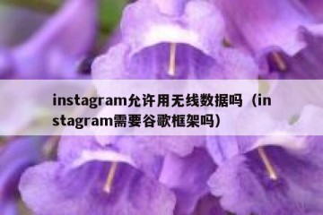 instagram允许用无线数据吗（instagram需要谷歌框架吗）