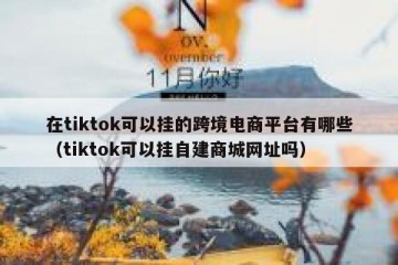 在tiktok可以挂的跨境电商平台有哪些（tiktok可以挂自建商城网址吗）