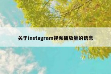 关于instagram视频播放量的信息