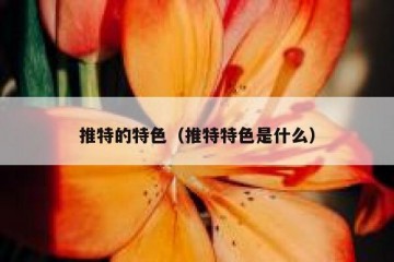 推特的特色（推特特色是什么）