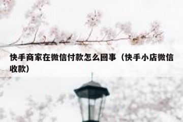 快手商家在微信付款怎么回事（快手小店微信收款）