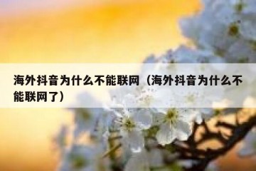 海外抖音为什么不能联网（海外抖音为什么不能联网了）