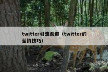 twitter引流渠道（twitter的营销技巧）