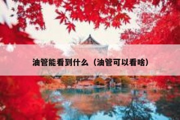 油管能看到什么（油管可以看啥）